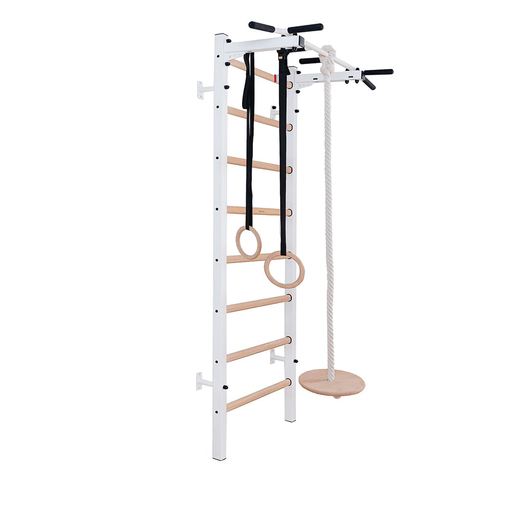 BenchK 221W + A204 wall bars